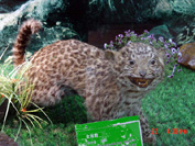 ͼƬ鿴ϸ
